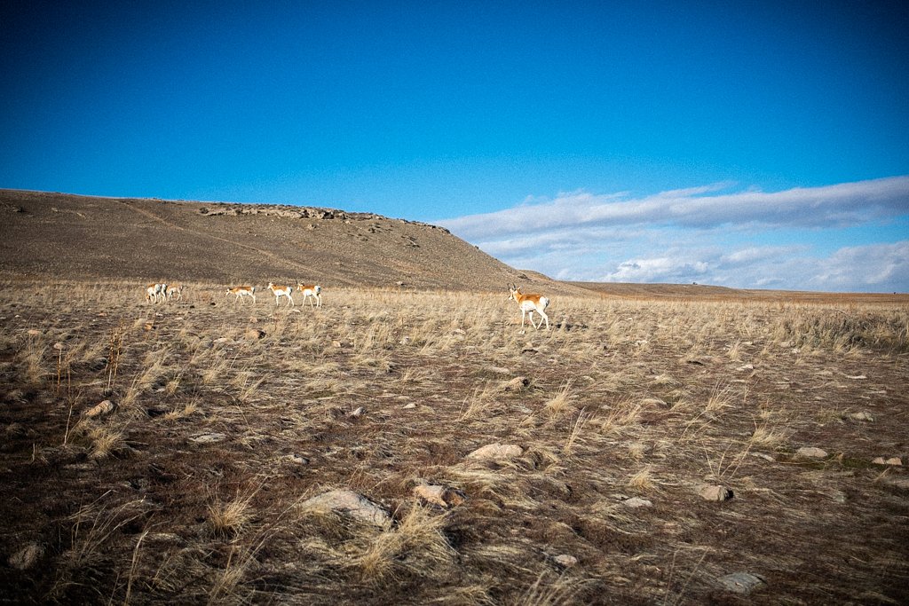 Antelopes-Island-UT-February-20-30.jpg